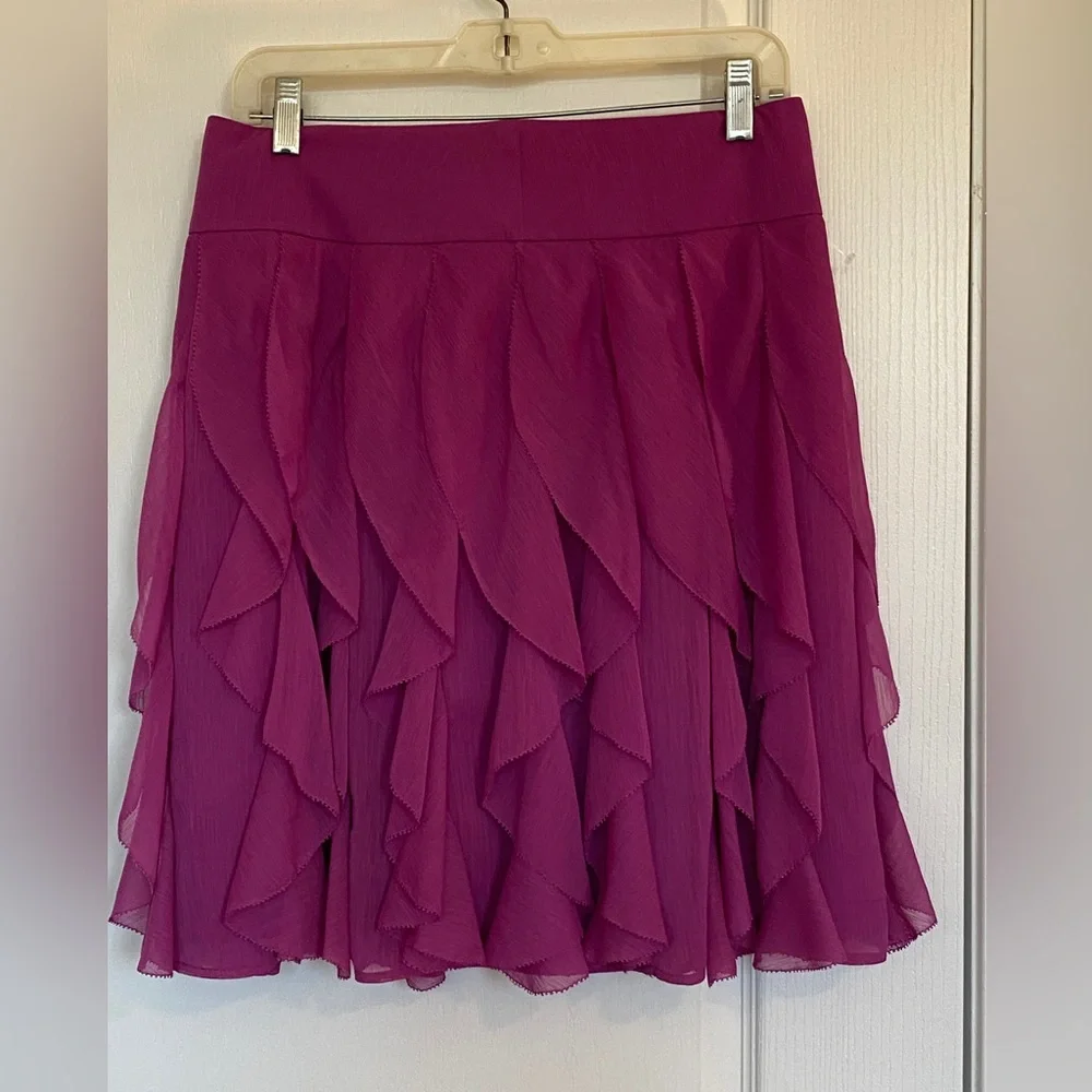 Ann Taylor fuchsia ruffled skirt. - Picture 2 of 7